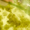 Icone Surface 17