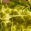 Icone Surface 18