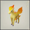 Ponyta