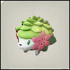 Shaymin